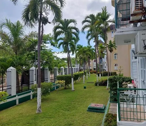 Wins On The 2* Ocho Rios